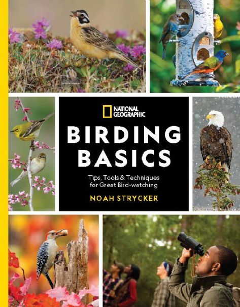 Birding Basics Tips, Tools, and Techniques for Great Bird-watching by Noah  Strycker - National Geographic Books