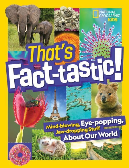 That's Fact-tastic! Mind-blowing, Eye-popping, Jaw-dropping Stuff About Our World by National Geographic - National Geographic Kids Books