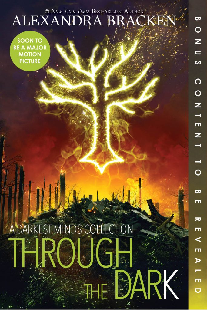 the darkest minds novel