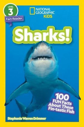 Can't Get Enough Shark Stuff - By Andrea Silen (paperback) : Target