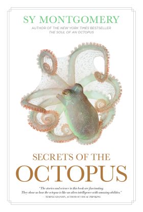 https://books.disney.com/content/uploads/2023/07/Secrets-Octopus_Cvr_FINAL-280x414.jpeg