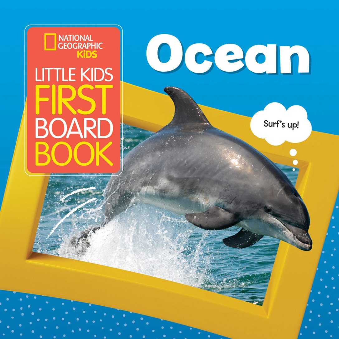 Little Kids First Board Book: Ocean by National Geographic Kids ...