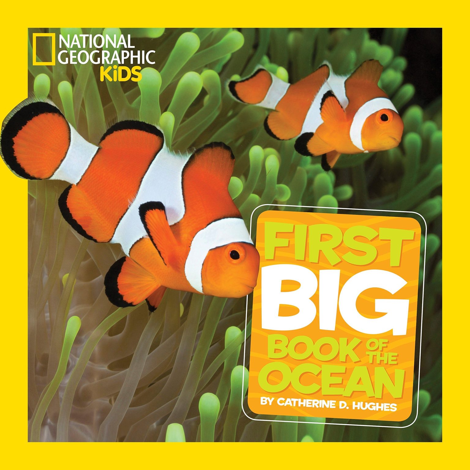 Little Kids First Big Book of the Ocean by National Geographic Kids