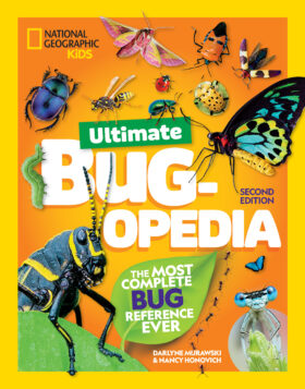 Bug-opedia